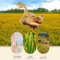 咪然 大米 直供东北长粒 香鲜米 5kg
