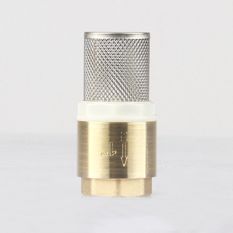 阀门 DN100/台