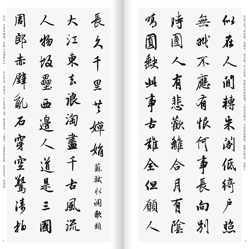 [醉染正版]中国历代经典碑帖集字 赵孟頫行书集字宋词一百首 收录赵孟頫经典行书碑帖集字古诗词作品集临摹教程 唐代行书毛笔高清大图