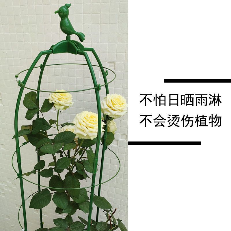 欧式爬藤花支架植物月季铁线莲紫藤支架攀爬花架阳台支撑架园艺