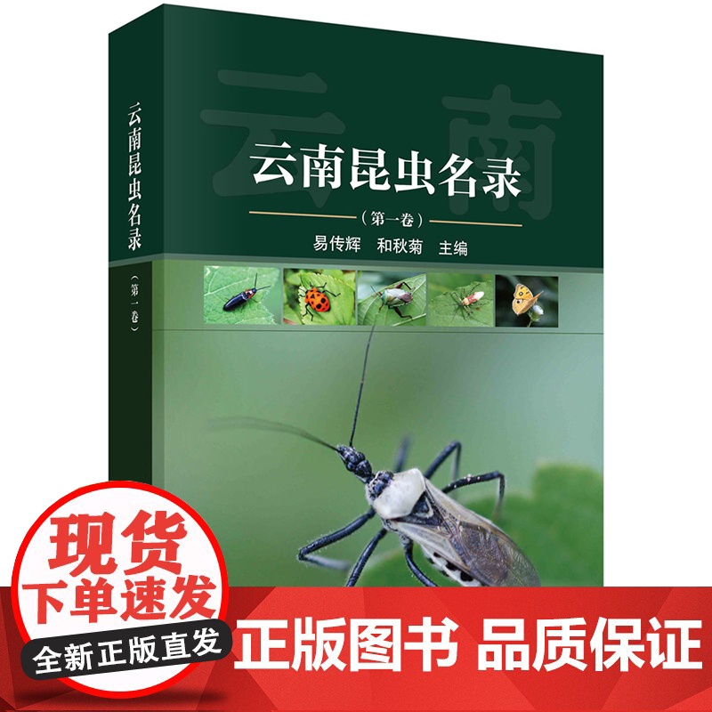 ]云南昆虫名录(第一卷)易传辉 和秋菊 科学出版社 9787030785664 自然科学高清大图