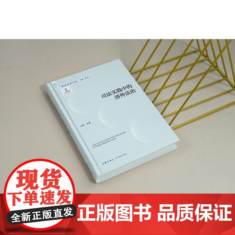 中法图正版 司法实践中的涉外法治 肖凯 涉外法治文库 研判域外司法案例案件审理程序 涉外法律适用规则制度设计司法程序 法高清大图
