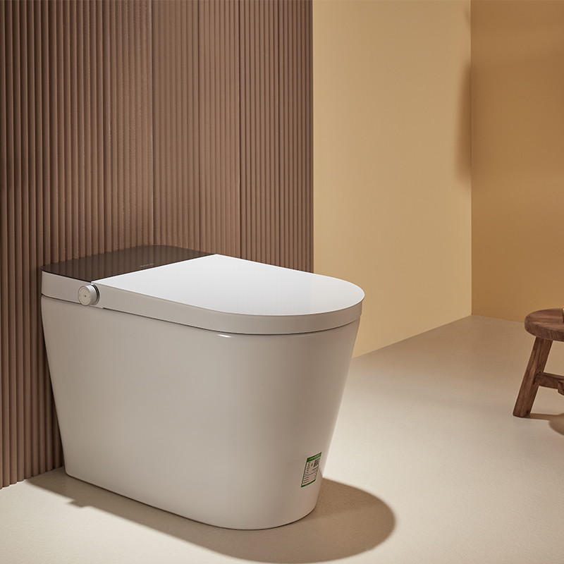 金牌卫浴GOLD 高颜值家用 低水压全智能马桶 KA(不含安装)RF3217Z 白色 400MM