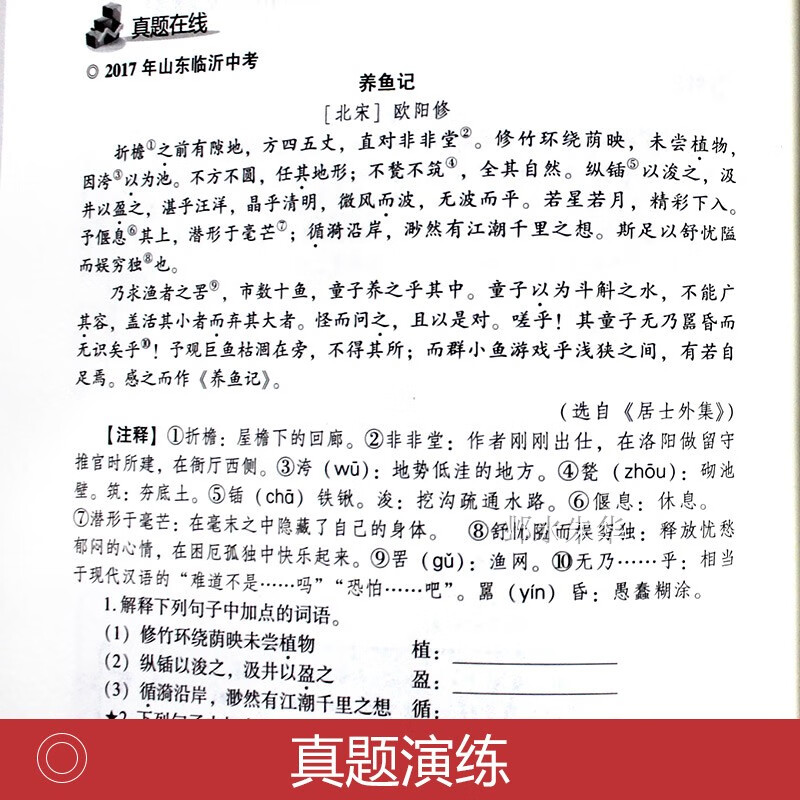 初中生阅读能力提升范本中考语文理解专项训练书强化答题技巧与方法现代文文言文全解组合训练题七八九年级初一初二初三人教版的书高清大图