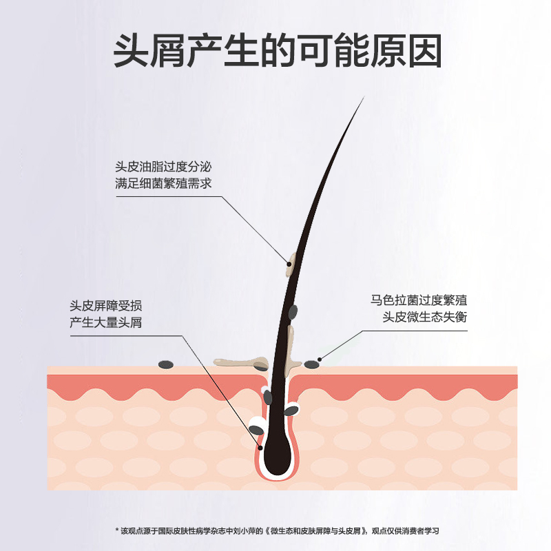 JLGJ 蕉蓝国际护发去屑柔顺洗发露500ml氨基酸养护头发低刺激净爽舒适留香高清大图