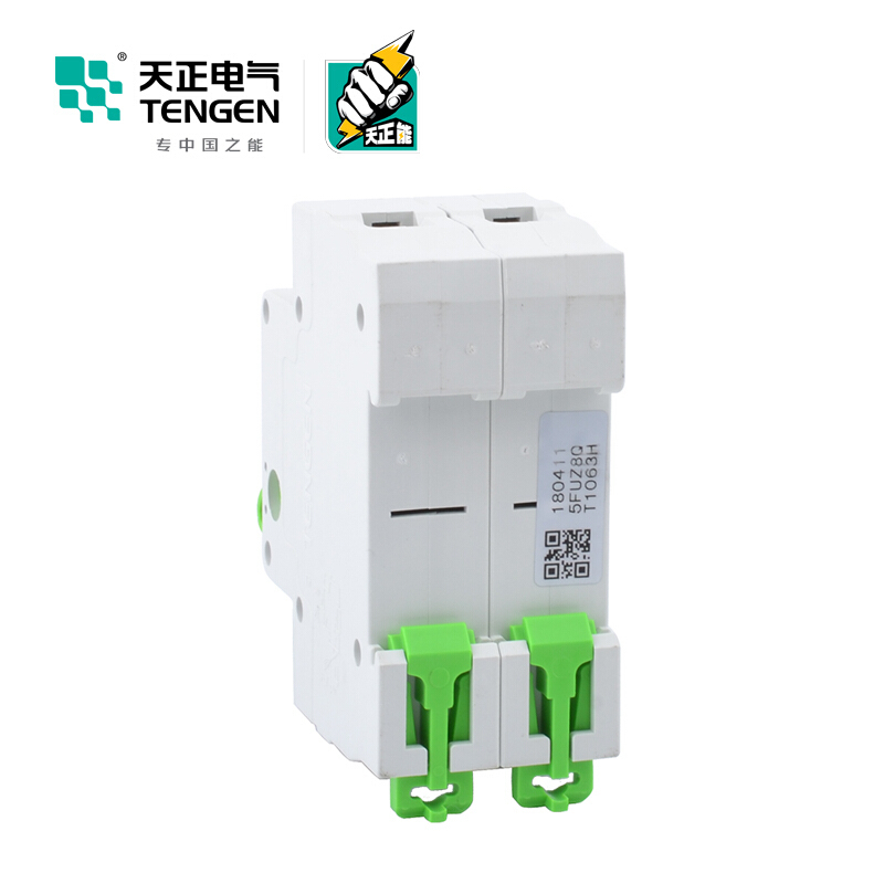 天正电气瑞彩系列TGHH-125 空气开关 2P 125A 336011200009 微型断路器