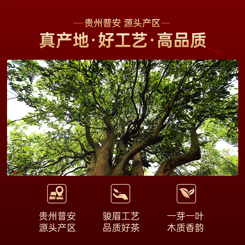 [正山堂]骏眉中国·天骄·骏眉红茶 200克高清大图