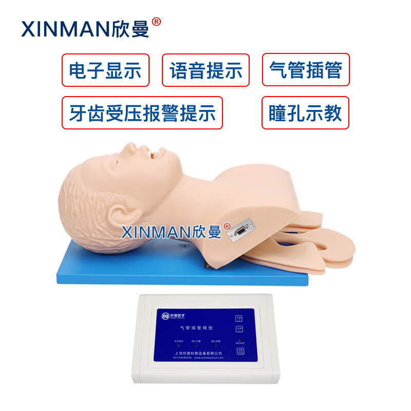 欣曼科教 电子人体气管插管操作训练模型 高级气道管理模拟人XM-5100高清大图