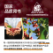 哥伦比亚原装进口Buendia博恩意式特浓阿拉比卡冻干速溶黑咖啡85g