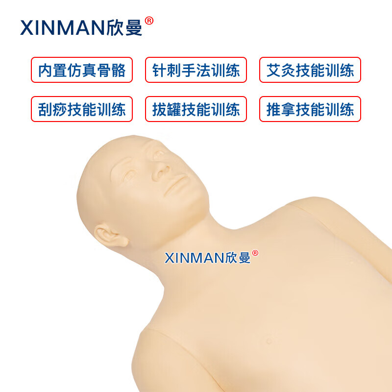 欣曼科教 多功能中医技能训练及考核模型(常用腧穴的定位和操作)XM-BGDS高清大图