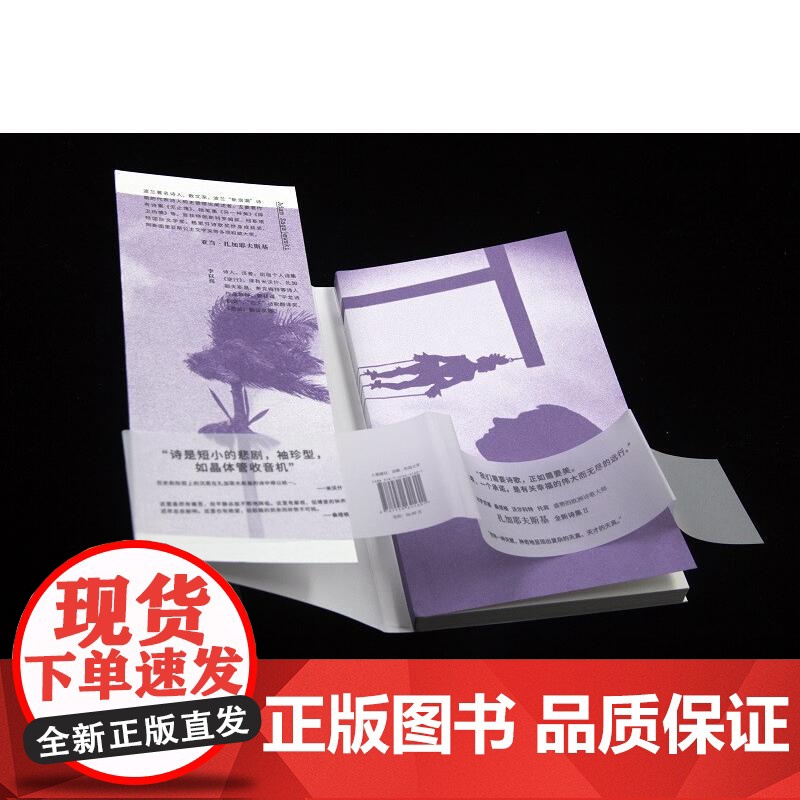 永恒的敌人扎加耶夫斯基诗集II 波兰亚当•扎加耶夫斯基北京联合出版公司高清大图