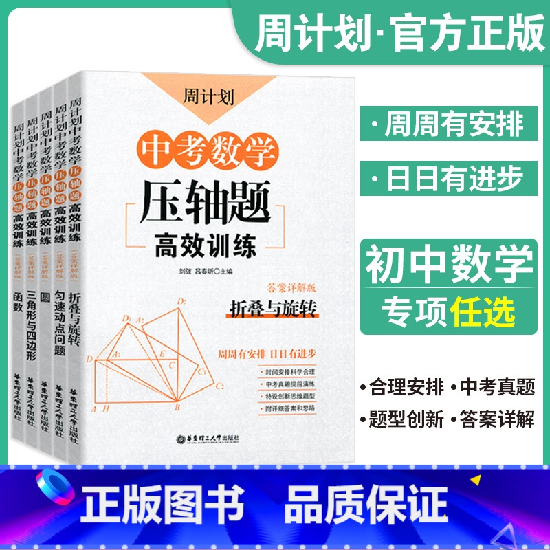 中考数学压轴题全套 初中通用 [正版]中考数学压轴题高效训练中考数学初中数学计算题高效训练总复习中考数学初中数学压轴题精高清大图