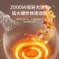 苏泊尔(SUPOR)电炒锅电煮锅电火锅电蒸锅 家用多功能炖煮一体4L炒菜蒸煮插电多用途锅 CJ28A615