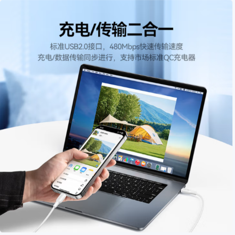 Type-C充电数据线CC202-2 5A PVC外被 PD100W 白色1米 货期2周高清大图