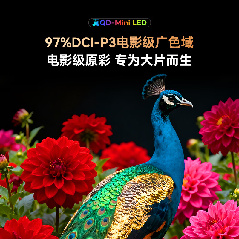 创维电视 65A4H 65英寸 QD-Mini LED 4K超高清 一级能效平板电视机A4FPro升级款 65英寸高清大图