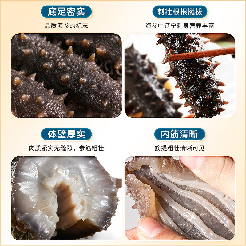 雷允上 淡干海参50g约20-24只