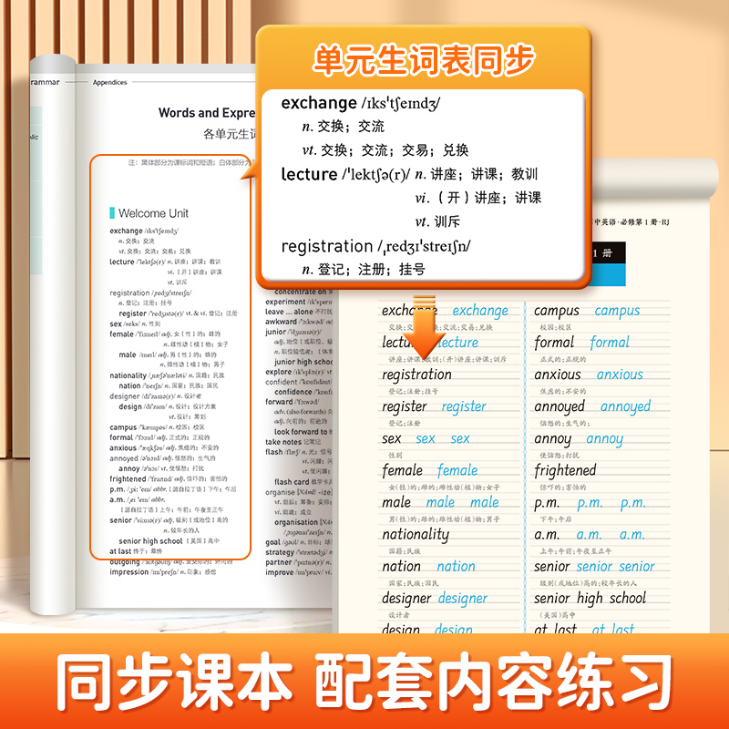 [人教版衡水体]选修第二册 [正版]人教版高中英语必修同步练字帖衡水体邹慕白提分练习选修第一册第二册英语字帖高中生词汇初高清大图