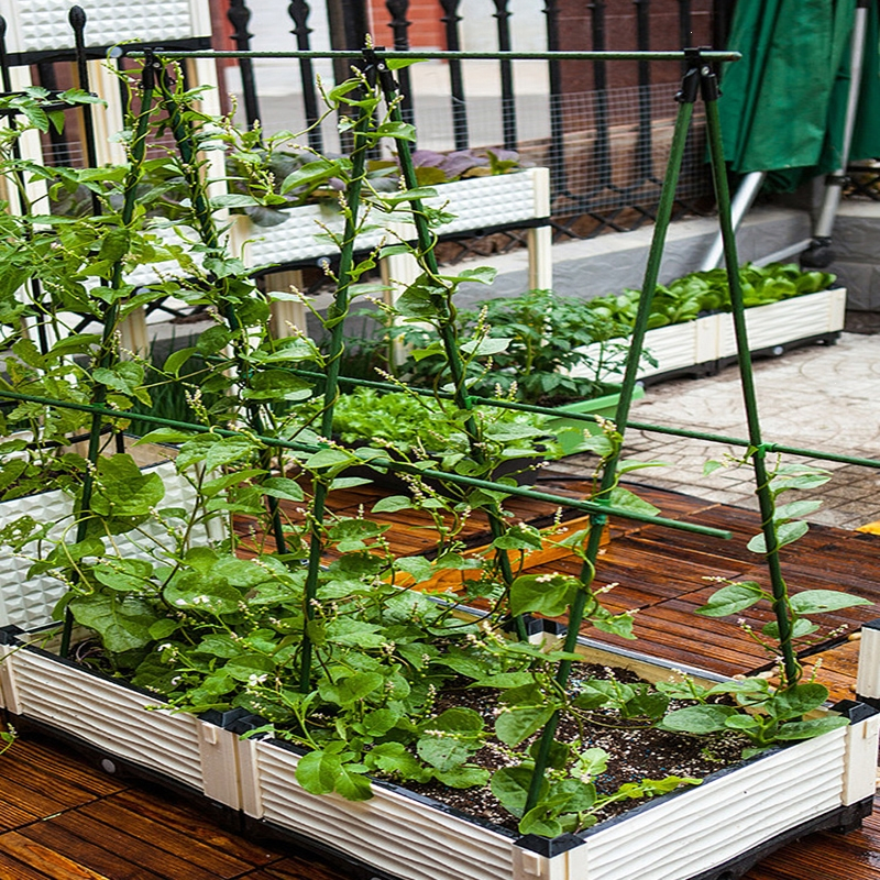 林下春雪支架爬藤架葡萄架杆花架黄瓜架子园艺支撑杆植物种菜蔬菜番茄