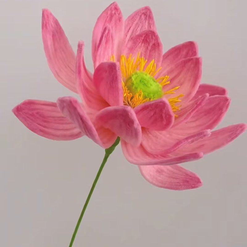 创意新款荷花加密扭扭棒手工diy材料包仿真花编织礼物-荷花全套材料包(不含瓶)高清大图