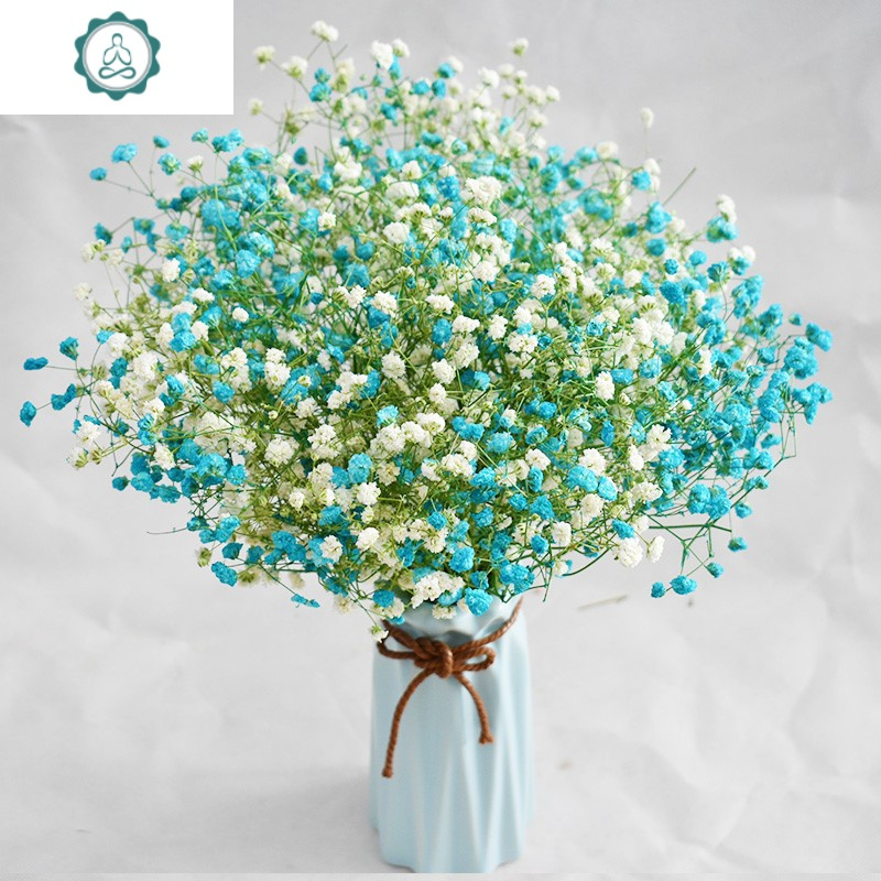 满天星干花花束带花瓶客厅家居摆设勿忘我插花ins干花装饰小清新 封后