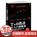 T+0战法从入门到精通(短线赢利实战技法大全)