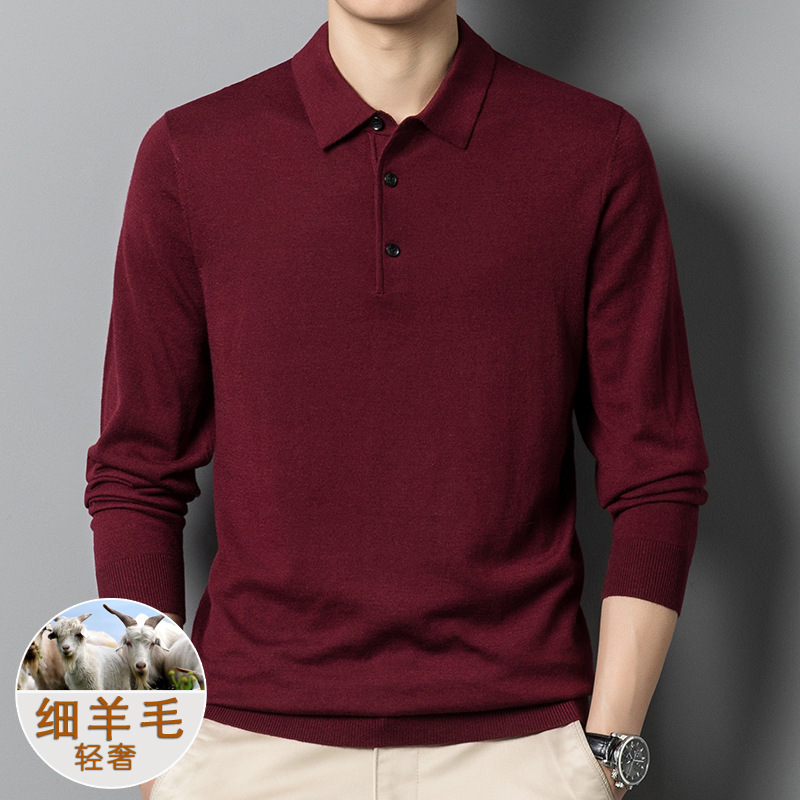 6羊毛毛衣男2024秋冬新款polo上衣针织衫羊毛净版翻领长袖打底衫高清大图