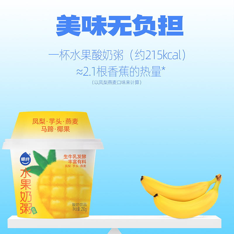 嚼绊水果奶粥蓝莓和凤梨口味210g*2杯组合装 生牛乳发酵 营养美味
