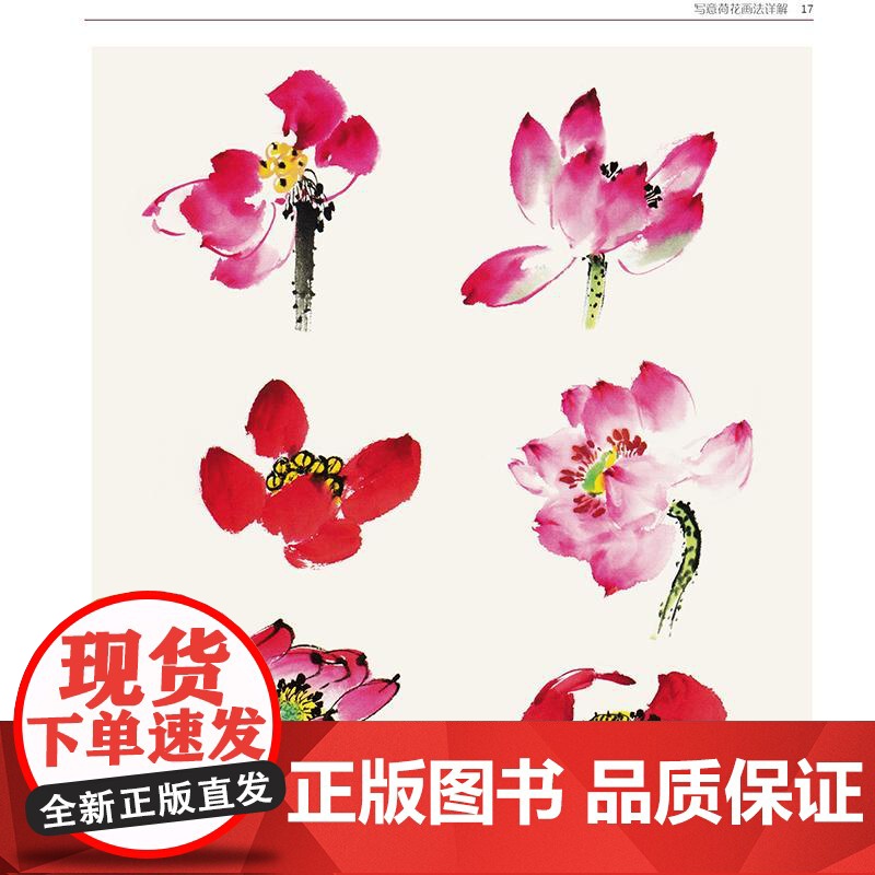写意荷花画法详解 孙建东写意荷花画法步骤构图技巧用笔用墨技法教学技法范图国画名师技法详解丛书高清大图