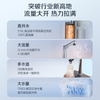 AO史密斯佳尼特加热净水器加热直饮一体机 家用厨下反渗透直饮水机净水机过滤器 CDR1600S1[蓝鲸上新]