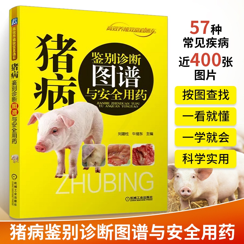 [正版]猪病鉴别诊断图谱与安全用药 养猪技术书大全猪病诊治与用药兽药兽医猪养殖猪饲料配方图解与鉴别书籍养猪场设计教程母高清大图
