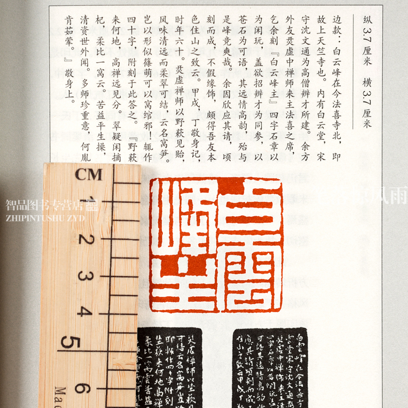 [正版]浙派印赏析100例 篆刻分类赏析系列 官玺私玺印章印谱历代古印赏析临摹篆刻欣赏原大呈现技法解析入门 篆刻工艺艺