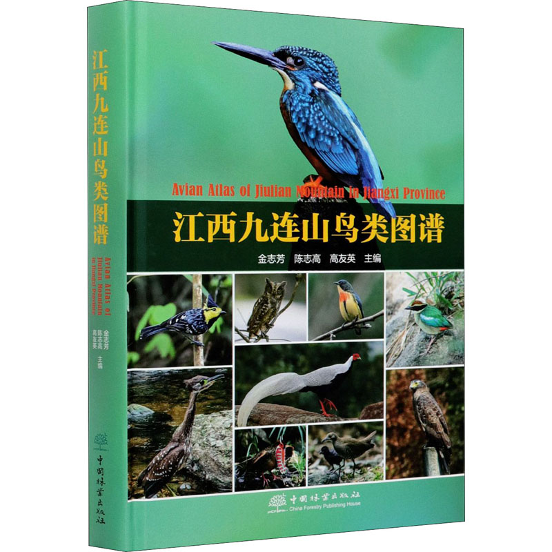 江西九连山鸟类图谱高清大图