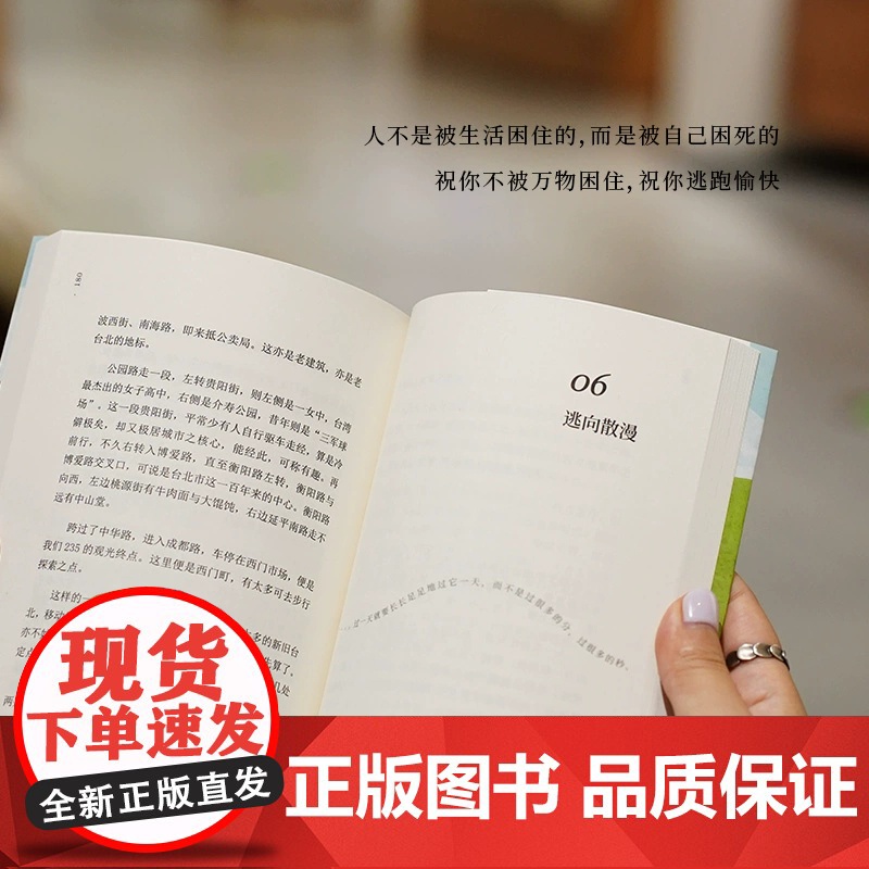祝你逃跑愉快 舒国治著 舒国治人生哲学散文 打得过就打打不过 记得逃给正在被生活困住的你高清大图