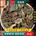 沈之问 虎耳草100克/一袋