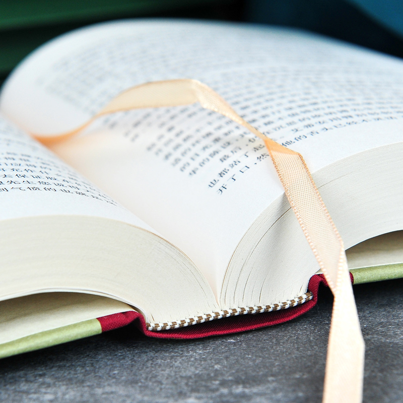 网格本:萌芽 [正版]精装 萌芽 左拉著 网格本人文社外国文学名著丛书 中小学生课外阅读书目世界名著外国文学小说高清大图