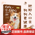 生活-狗狗营养烘焙养狗入门书籍 55道狗狗鲜食料理手工零食营养粉 宠物犬养营养食谱大全书狗狗的喂养方式饲养攻养