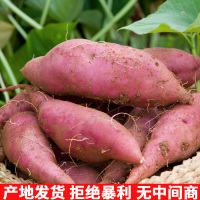 正宗红薯淀粉厨房烘焙原料食用淀粉勾芡生粉农家自制凉粉生粉5斤