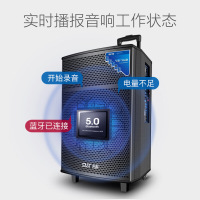 先科 (SAST) SA- 122英寸广场舞音响 蓝牙拉杆音箱 彩灯户外便携式音响大功率低音炮KTV 扩音器带无线麦克风
