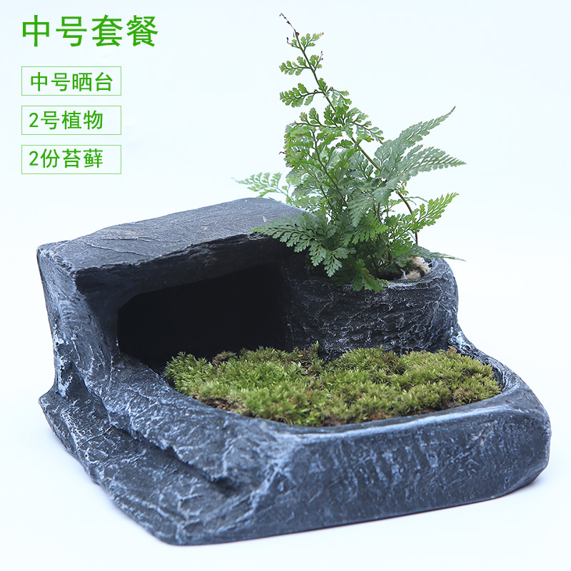 乌龟晒台爬台大号水龟缸造景浮岛爬坡巴西龟晒背台躲避洞穴晒龟台高清大图