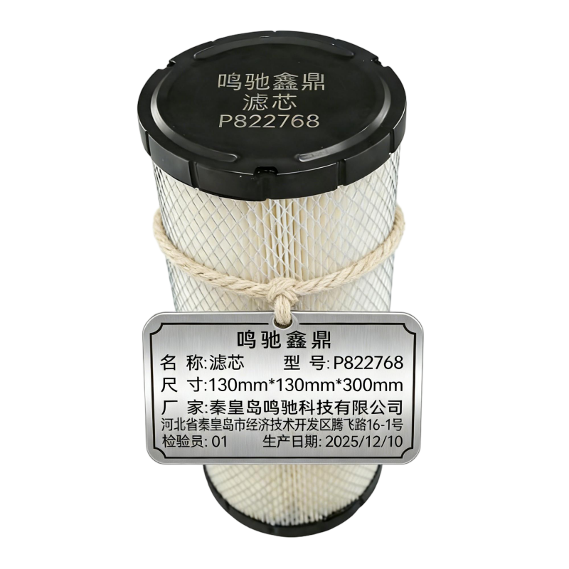 鸣驰鑫鼎 滤芯 P822768 个高清大图