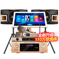 炫宝迪 家庭ktv音响套装专业家用卡拉ok点歌一体机功放音箱全套 [流行款]22寸/6T