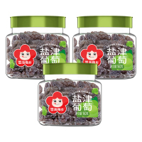 雪海梅乡 盐津葡萄干160g *2罐装 果脯休闲零食小吃蜜饯果干
