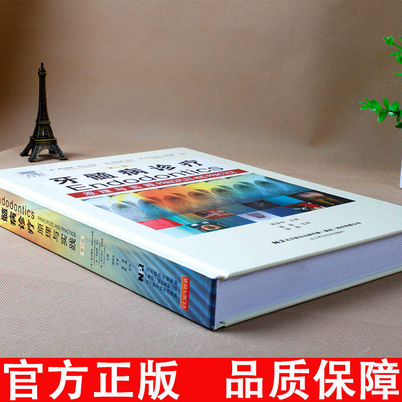 [醉染正版]牙髓病诊疗原理与实践第 第五版 医学临床病例 现代根管治疗图谱 口腔科学 口腔医学图谱 磨牙牙髓疾病诊疗 辽高清大图
