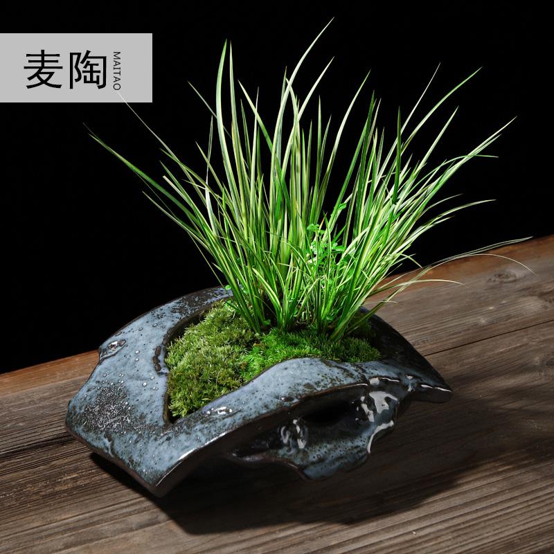 美帮汇禅创意陶瓷花盆简约个性金边菖蒲室内盆栽植物景观盆景办公室摆设高清大图