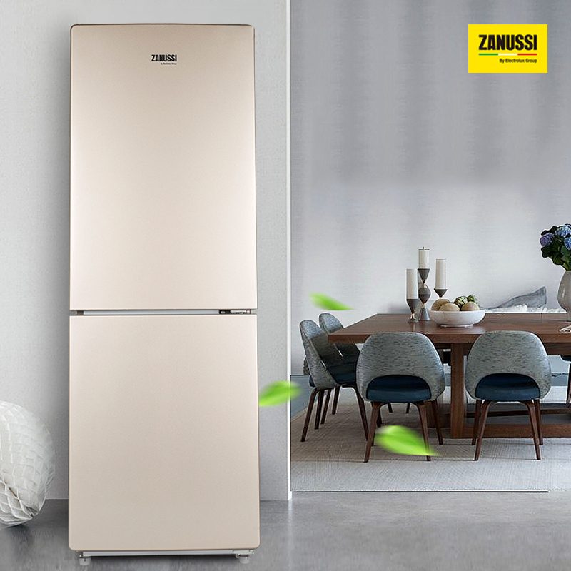 扎努西·伊莱克斯/ZANUSSI ZBE1780LPA 双门冰箱无霜风冷 炫金外观 178升容积 家用电冰箱高清大图