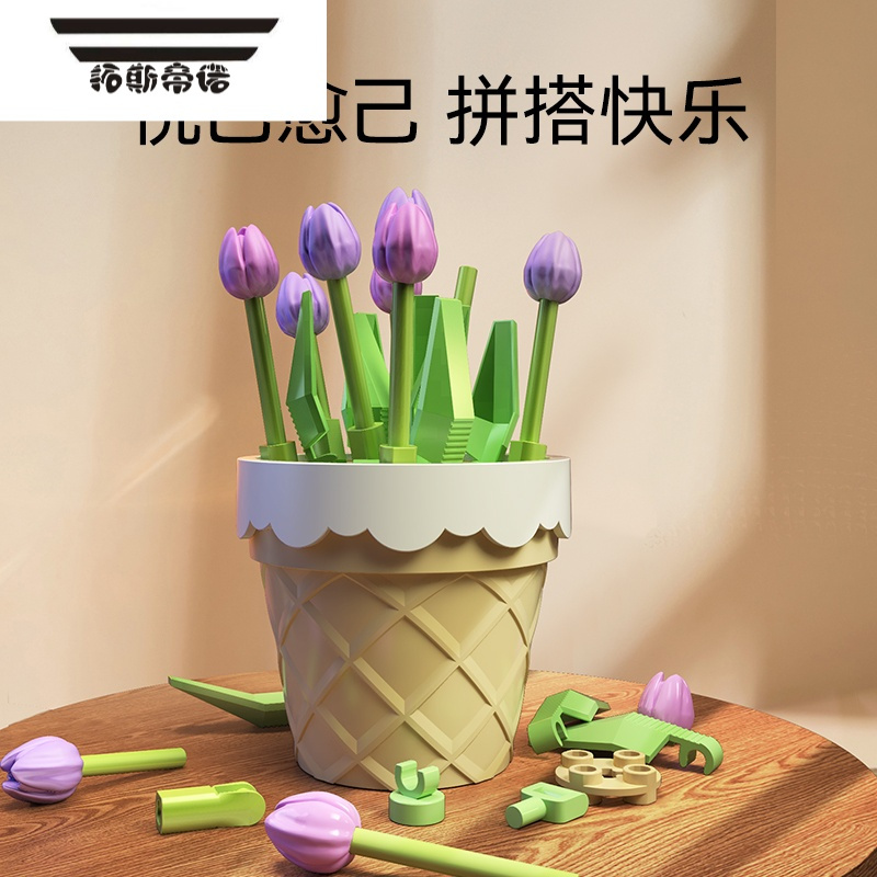 拓斯帝诺[新品]多肉盆栽摆件儿童益智拼装玩具男孩女孩礼物