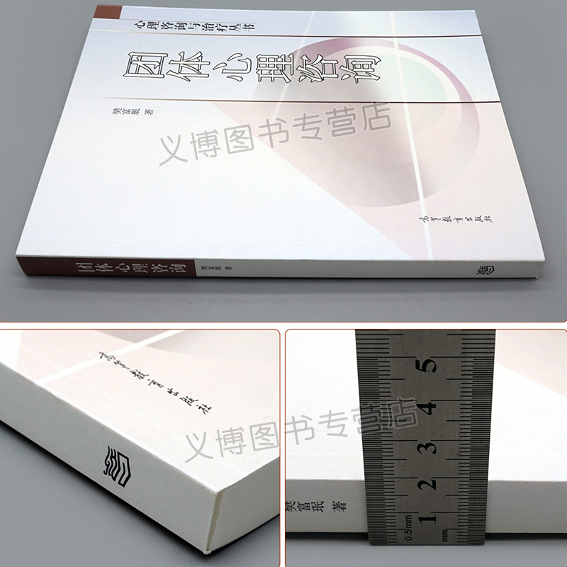 [醉染正版]团体心理咨询 心理咨询与治疗丛书 樊富珉 著 各类学校心理健康教师心理咨询治疗师心理及教育学相关专业教师学生高清大图