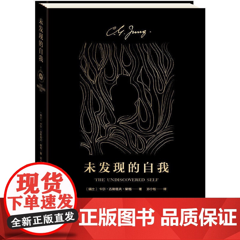 未发现的自我 心理学大师荣格 通俗易懂 了解人类潜意识的入门之作 荣格心理学经典著作 集体无意识心网 心理学解析高清大图