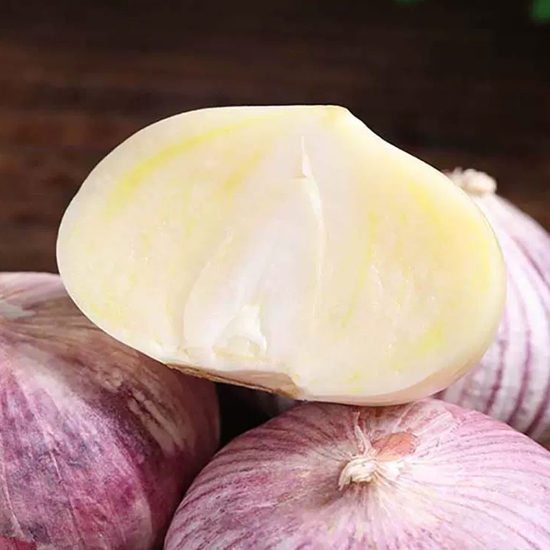 [西沛生鲜]当季云南新鲜紫皮独头蒜 直径2.5-3cm 净重9斤 精选新蒜独头高清大图