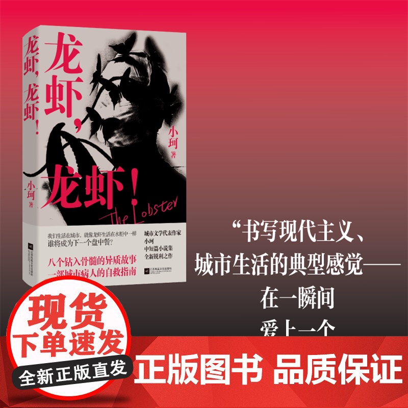 龙虾,龙虾! 小珂著 近现代文学中短篇小说书 江苏凤凰文艺出版社高清大图